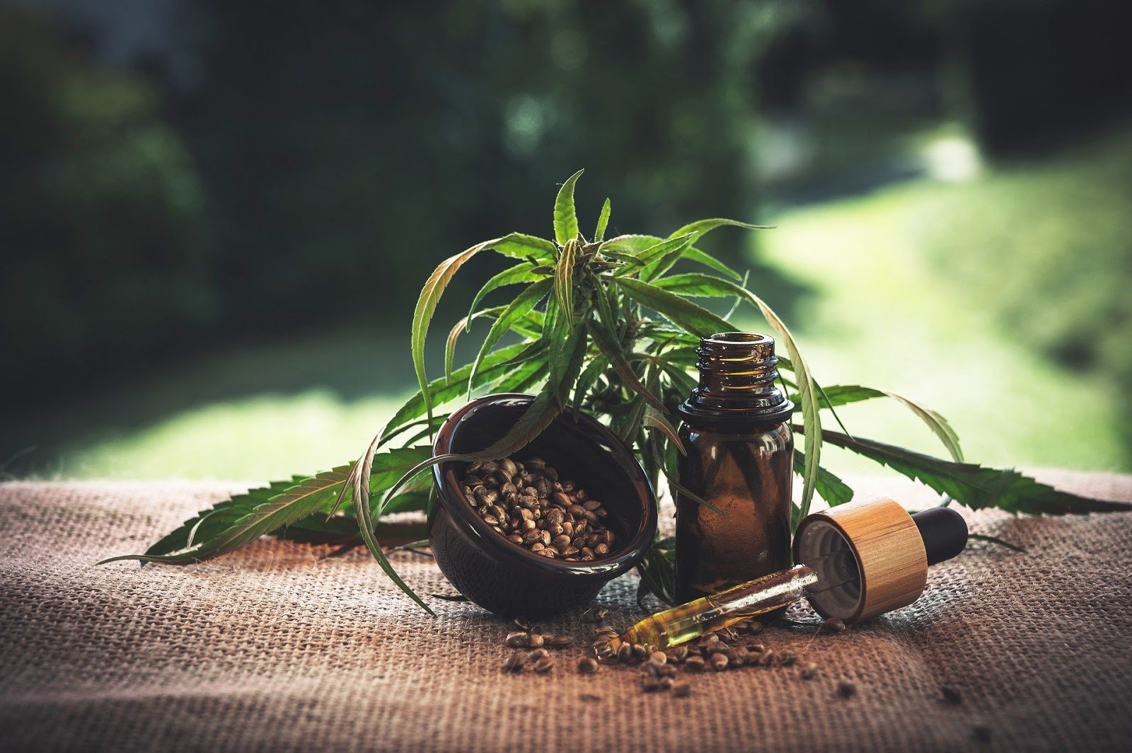 What You Need to Know about Medical Cannabis and CBD Oil